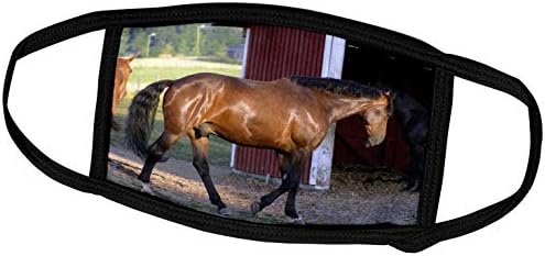 3dRose TDSwhite – Снимки на коне - Обора за хранене на коне - Маска за лице (fm_285481_2)