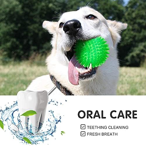 Стабилна играчка за кучета с шипованным топка и Суперэластичным кучешка жевательным топче, което Почиства зъбите