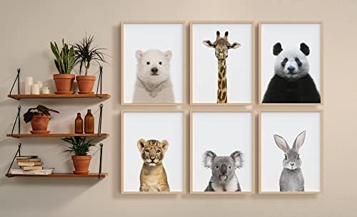 Декор на детска стая на Бебе Safari - Комплект от 6 животни и Стенно изкуство в детската стая / стена Декор