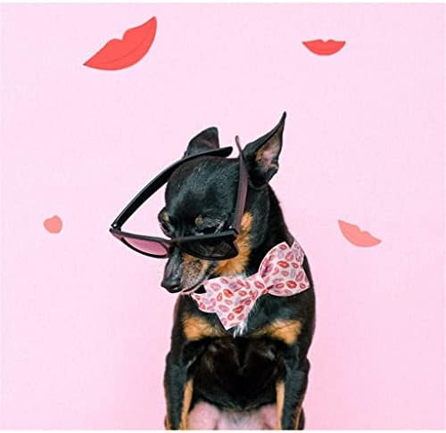 HFDGDFK Нашийник за кучета Valentine Red Lips с папийонка, Нашийник на Домашен Любимец за Големи Средни Малки