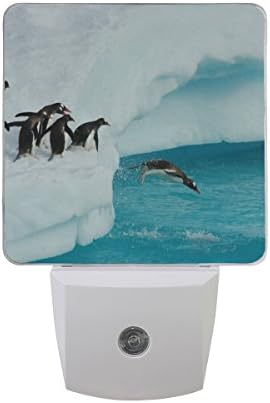 Naanle Комплект от 2 Животни-Пингвини, които Играят на Айсберге, Препускащ в Синята Морска вода на Океана, Автоматичен