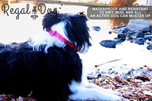 Regal Dog Products Обичай Малко Синьо небе водоустойчив нашийник с висока якост на ключалката и регулируем пръстен за тежки условия на работа, който предпазва от миризма, в