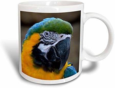 Керамична Чаша 3dRose Blue And Gold С изглед към главата на папагала Ара C, 11 грама