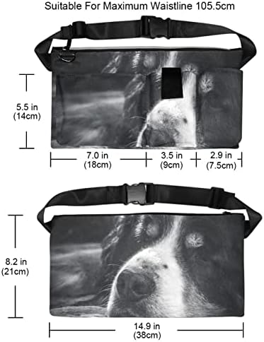 черно-бяло куче, домашен любимец черна Чанта За Инструменти на Джобовете на Работния Органайзер Чанта държачът